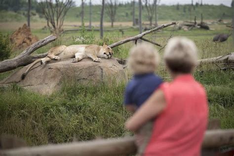how much are columbus zoo tickets with aaa discount